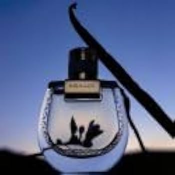 Amazon | クロエ ノマド ニュイ デジプト オードパルファム 30mL